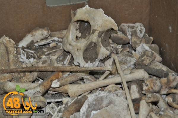 maqbara qeshleah (12).jpg